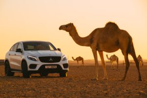 Аренда автомобилей в Дубае - Белый автомобиль в пустыне