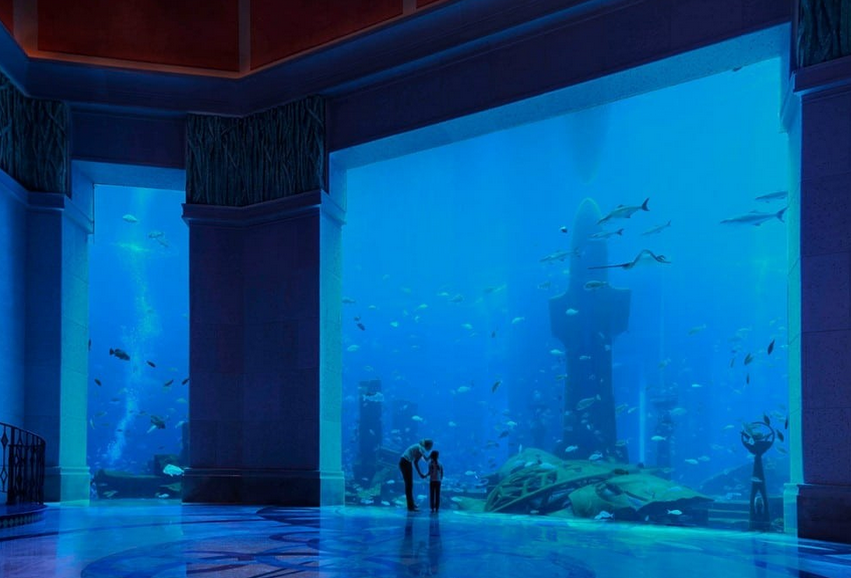 Океанариум Lost Chambers в Дубае - Зал