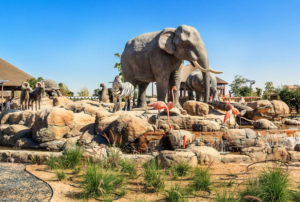 Сафари-парк в Дубае - Слон и другие обитатели парка
