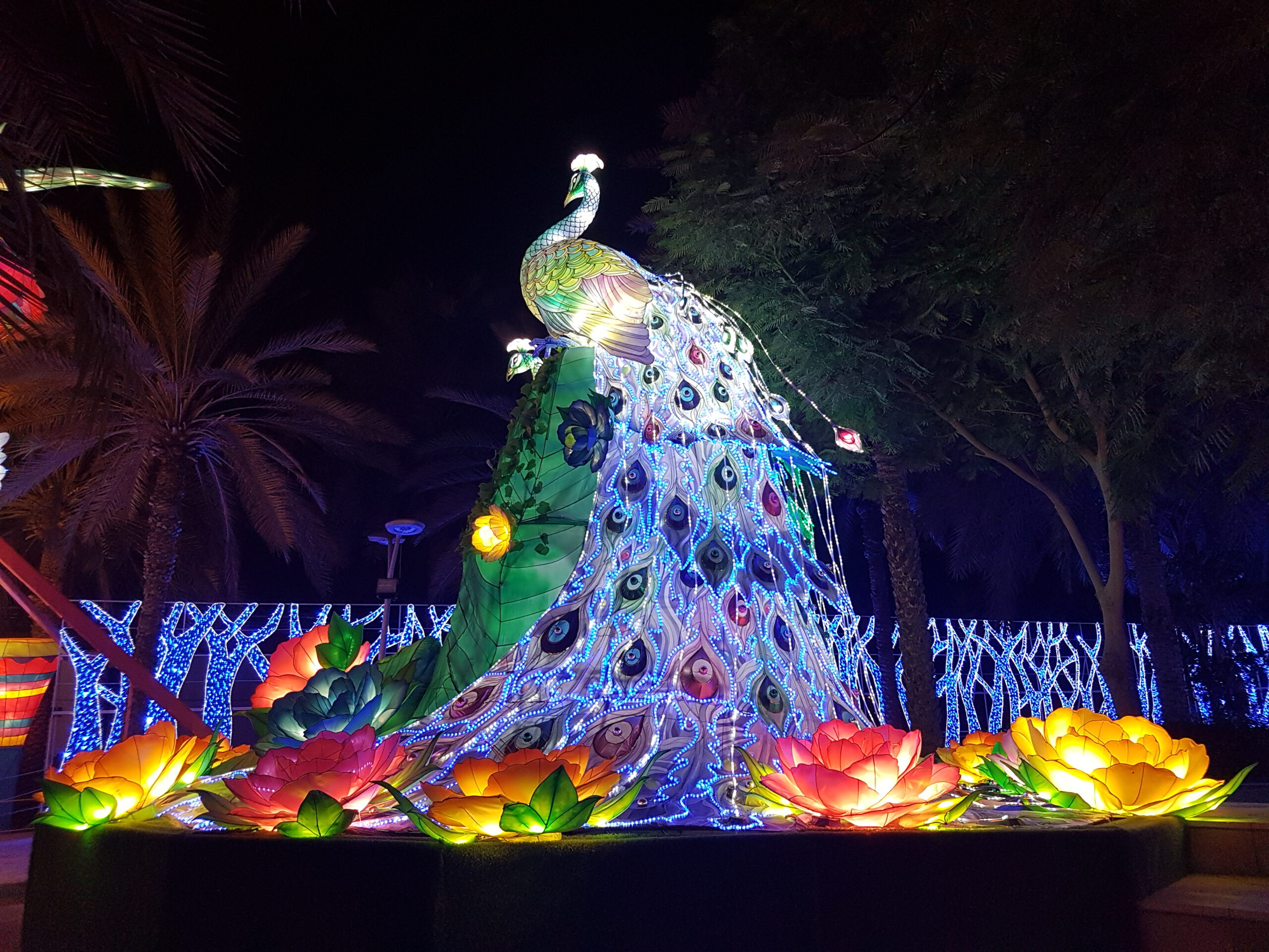 Светящийся парк в Дубае - Павлин