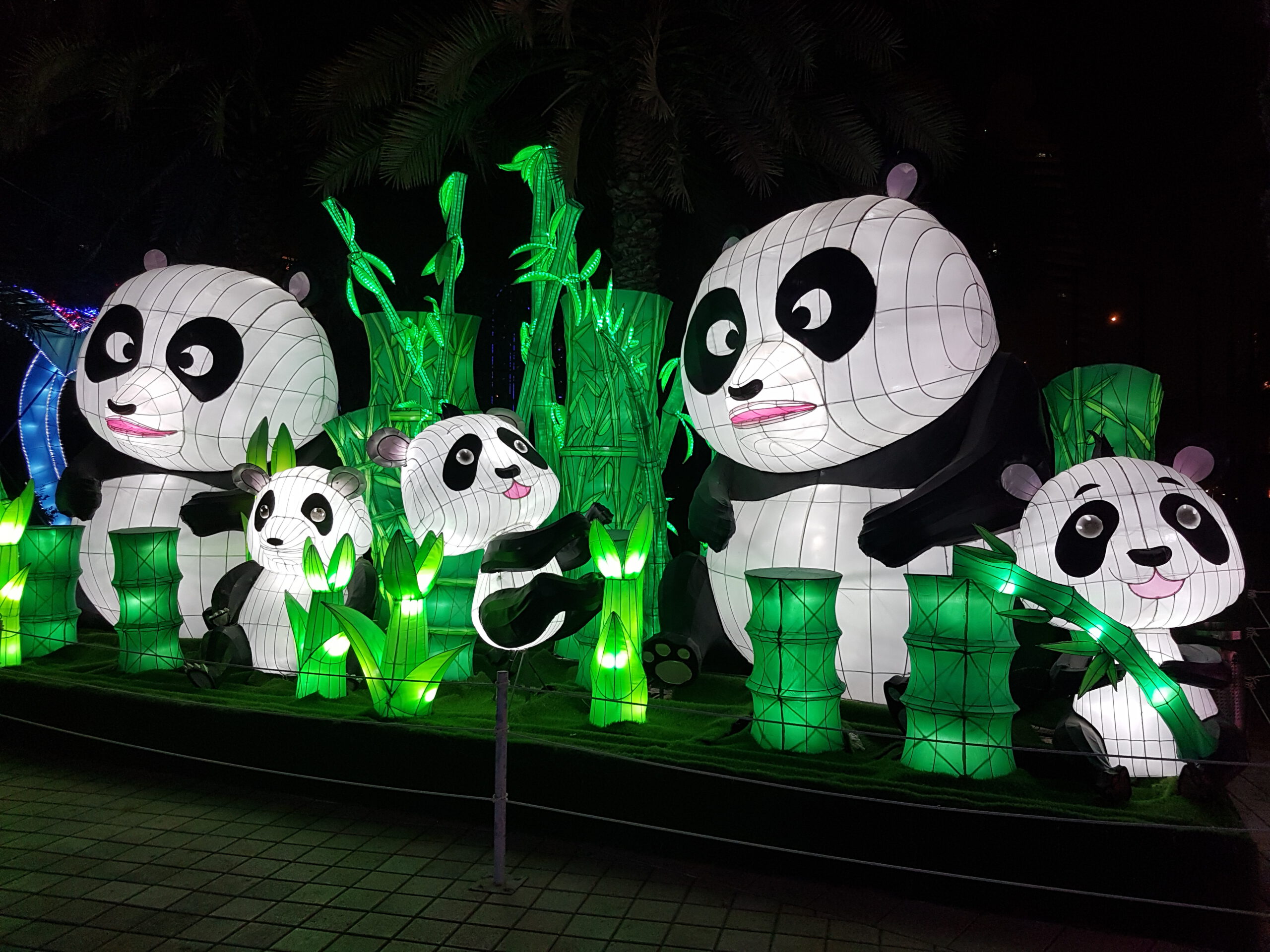 Светящийся парк в Дубае - Рай для панд