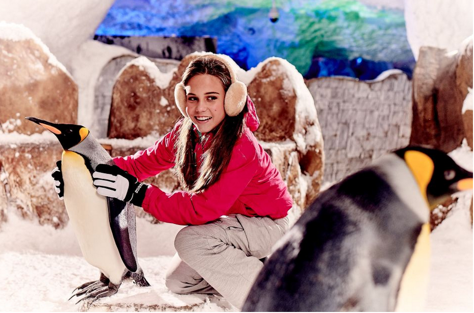 Ски Дубай - Встреча с пингвинами