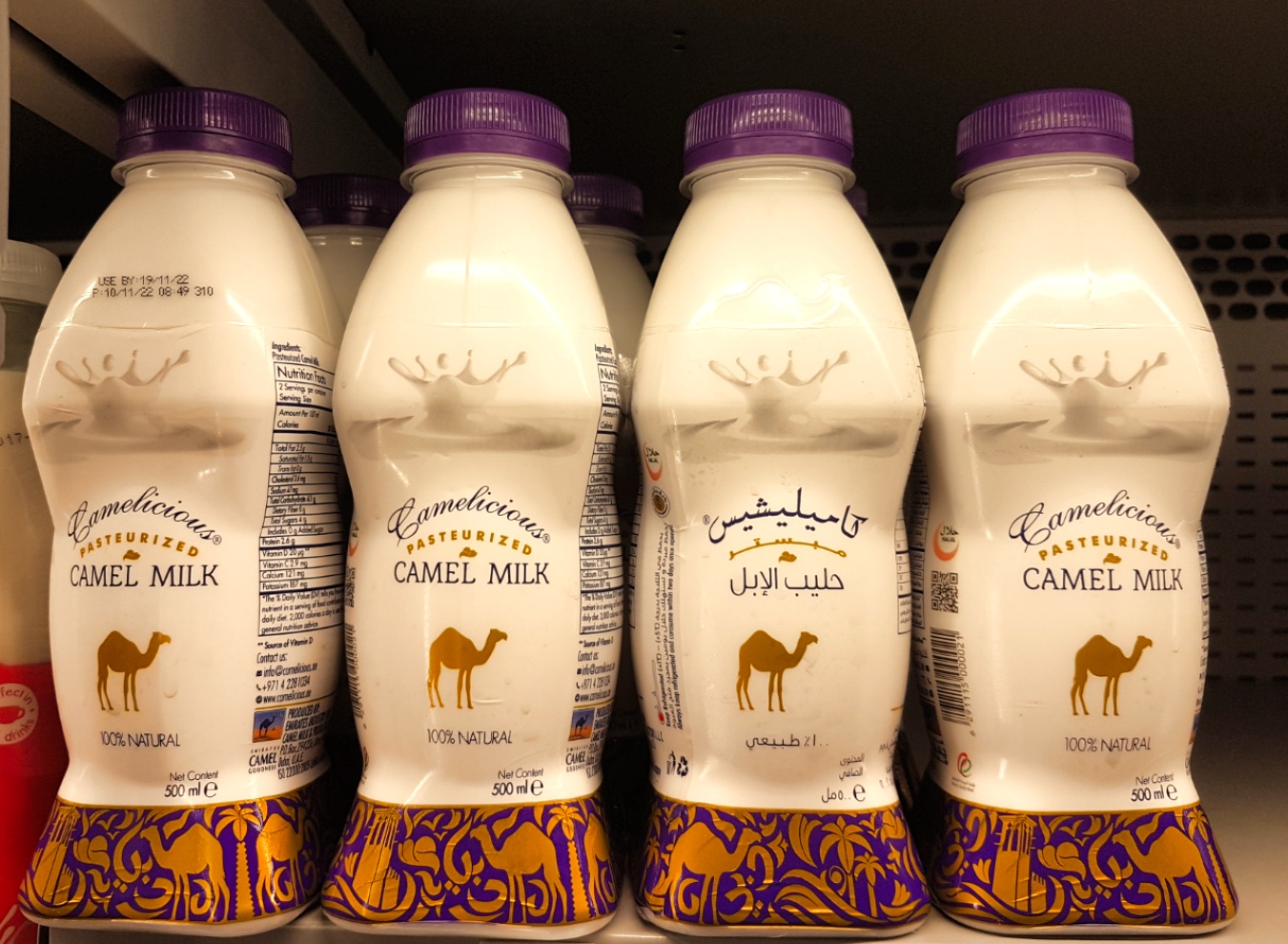 Музей верблюда в Дубае - Верблюжье молоко